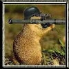 Beaver w/bazooka