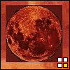 av1183Image1.jpg