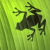 avatar0325.jpg