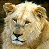 avatar0977.jpg