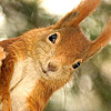 avatar0980.jpg