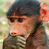avatar0986.jpg