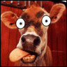 avatar2428.gif