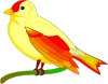 bird_of_peace_mauro_oliv_.png