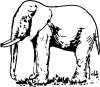 elephant_drawing_john_ol_01.svg.thumb.png