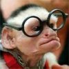f26.jpg