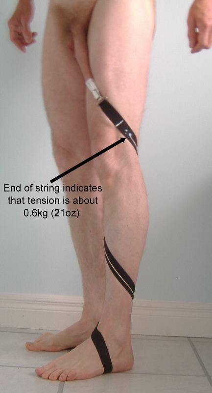 Foreskin restoration t-tape taping in use with elastic suspender